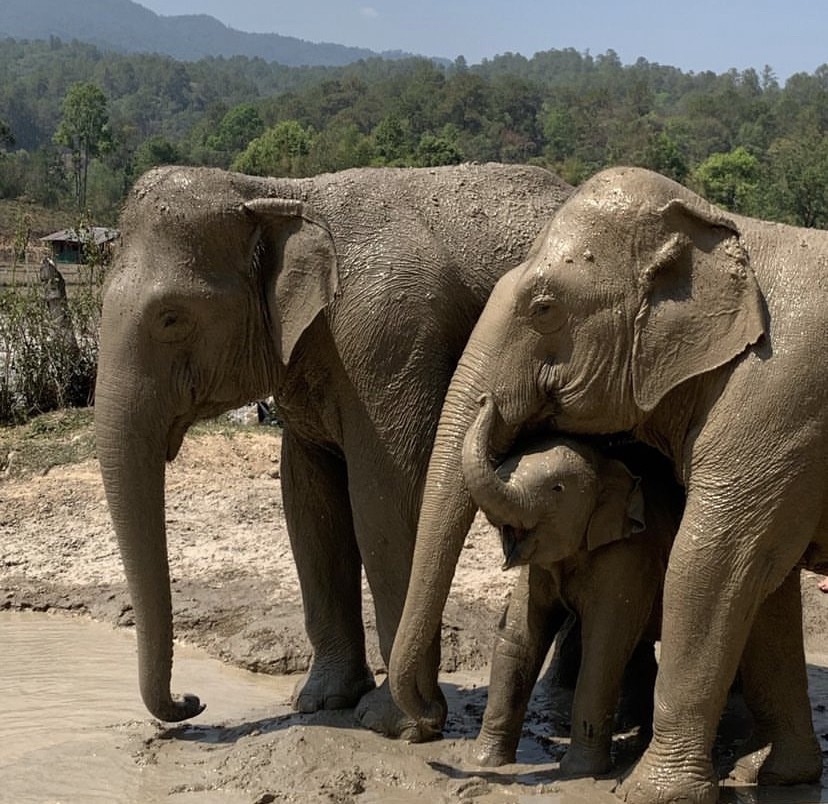 About our sanctuary