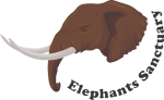Elephants Sanctuary